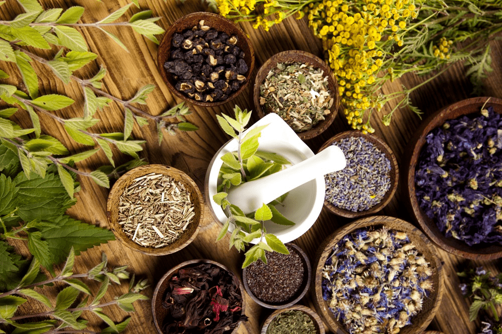 الأعشاب العلاجية للفعالية