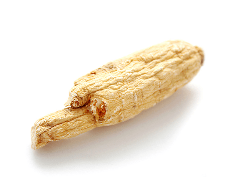 جذر أراليا للفعالية